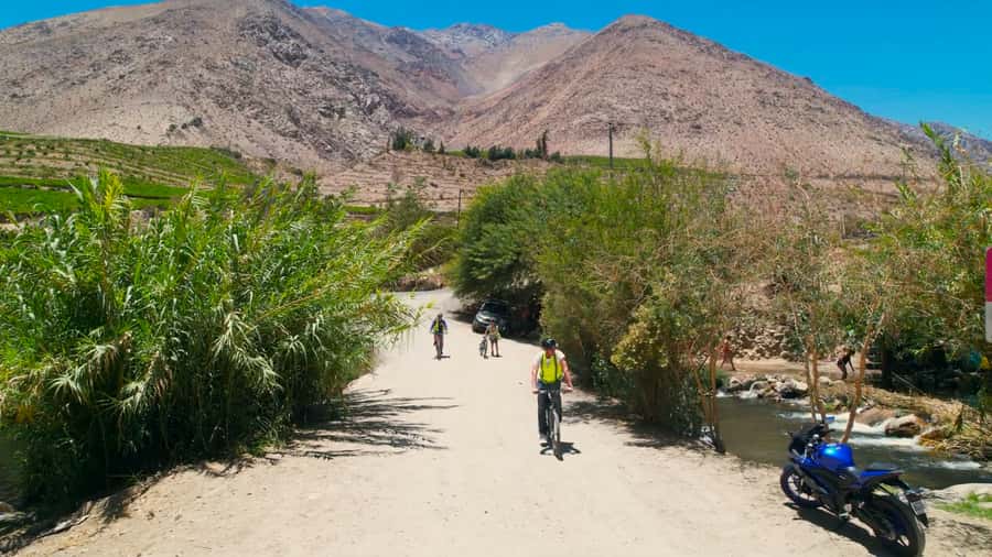 Elqui Valley: Bike Tour - Pisco Distilleries and the Taste of the Valley