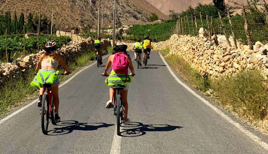 Elqui Valley: Bike Tour - Safety, Fitness, and Who Should Skip It