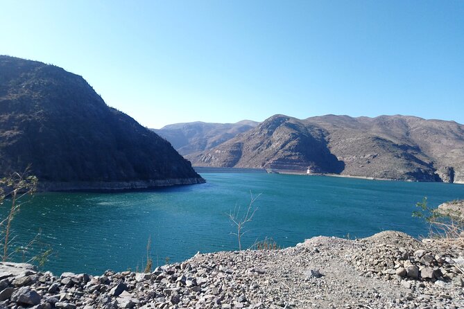 Elqui Valley - Short Excursion for Cruise Trips - A Short Stop At Viña Falernia