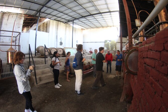 Elqui Valley - Short Excursion for Cruise Trips - Guide Quality And Group Size