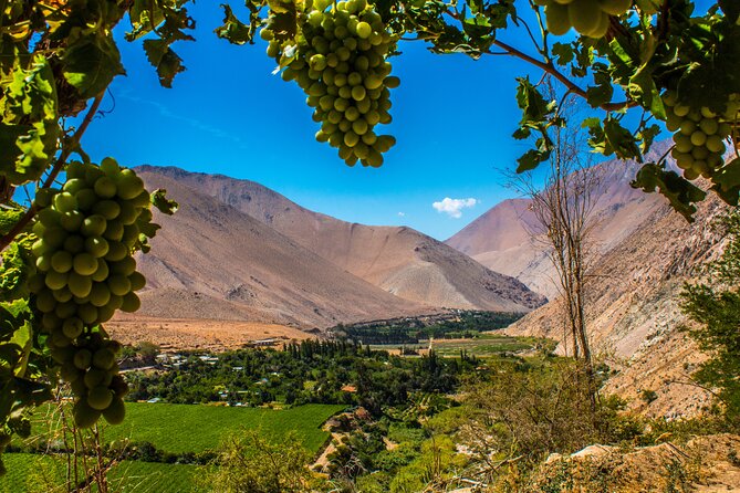 Elqui Valley : Special for Cruises from Port in Coquimbo - Key points to know before you book