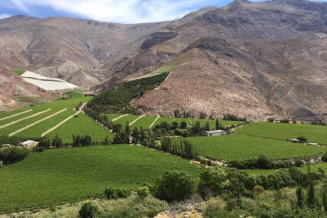 Elqui Valley : Special for Cruises from Port in Coquimbo - Leaving Coquimbo for the Elqui Valley