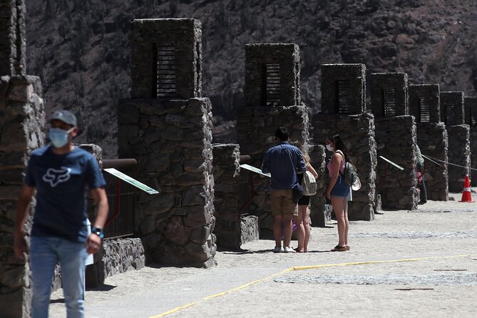 Elqui Valley : Special for Cruises from Port in Coquimbo - Vicuña brings the valley to a close