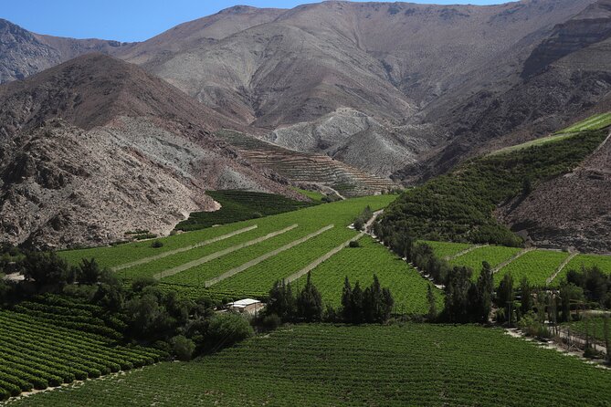 Elqui Valley : Special for Cruises from Port in Coquimbo - What the $140 price really covers