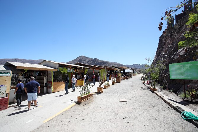 Elqui Valley : Special for Cruises from Port in Coquimbo - Timing matters more than the printed schedule