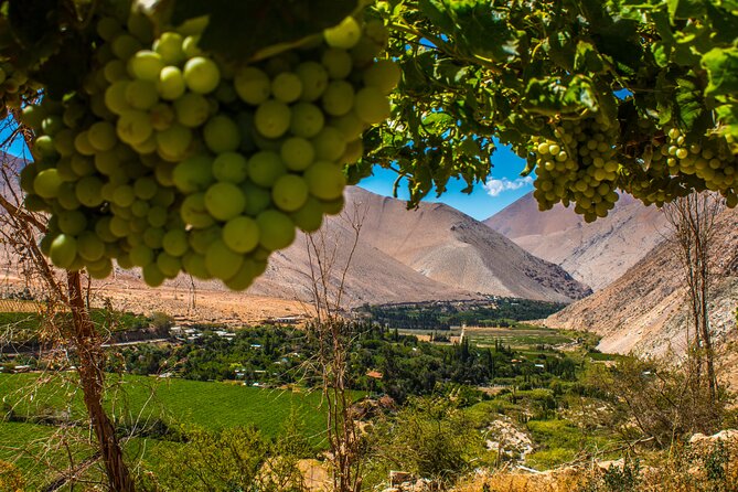 Elqui Valley Tour: History and Flavors (NOT FOR CRUISES) - Why the Elqui Valley works as a day trip from La Serena