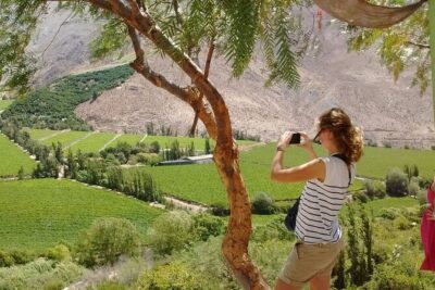 Elqui Valley Tour: History and Flavors (NOT FOR CRUISES)