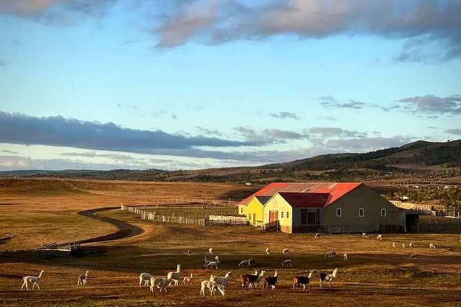 Estancia ,de la comuna de Laguna Blanca - Key points to know before booking