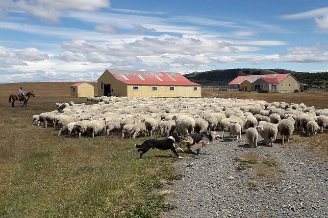 Estancia ,de la comuna de Laguna Blanca - Leaving Punta Arenas beside the Strait of Magellan