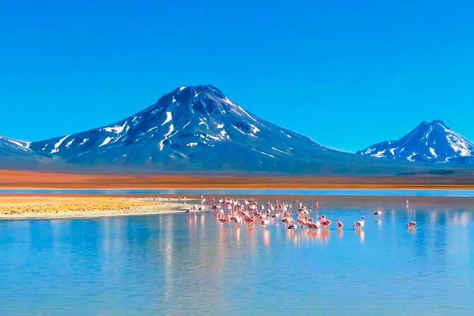 Expedition to Ruta de los Salares + Culinary Delights - Food, comfort, and the culinary angle