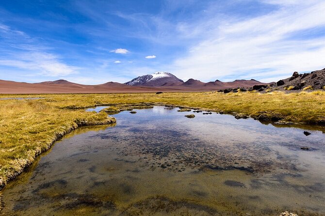 Expedition to Ruta de los Salares + Culinary Delights - Who should book this outing?