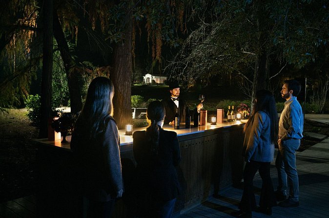 Experiencia Nocturna Casillero del Diablo + Cena - Group size, age rules, and practical limits