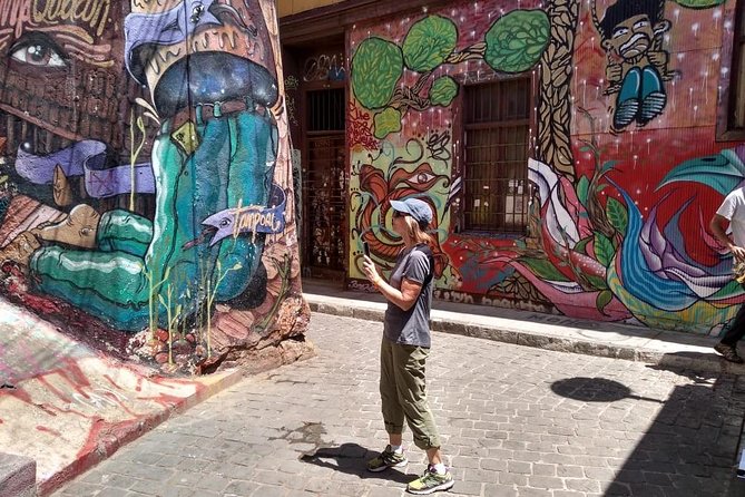 Famous Valparaíso! Premium Walking Tour with a Native Guide - Riding Ascensor Reina Victoria