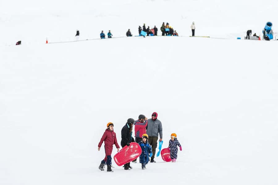 Farellones Park Tour: Snow Adventures - Which activities deserve your time
