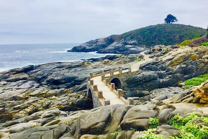Fr STGO: WILD PENGUINS, SEALION, SANDBOARD, PARAGLIDING & PICNIC - Why this Santiago day trip packs in so much