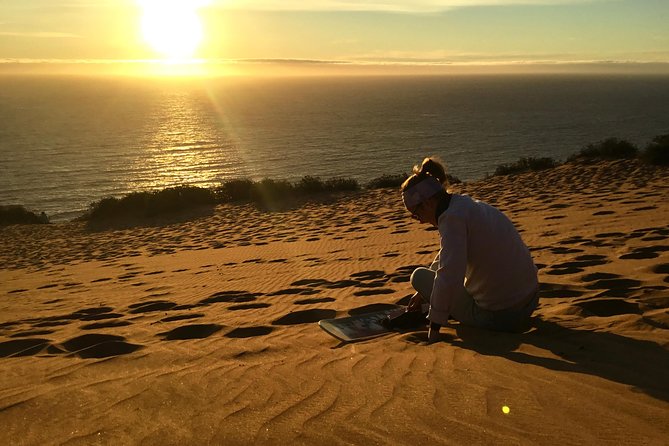 Fr VALPO: WILD PENGUINS, SEALION, SANDBOARD, PARAGLIDING & PICNIC - A Chilean lunch above the Pacific