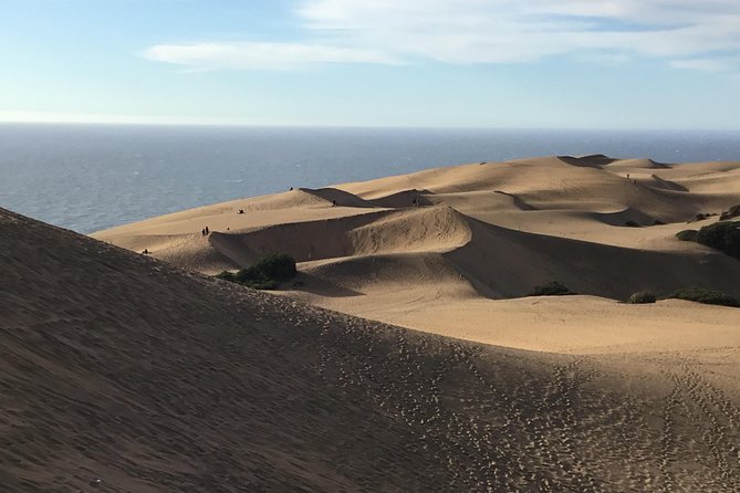 Fr VALPO: WILD PENGUINS, SEALION, SANDBOARD, PARAGLIDING & PICNIC - Watching paragliders, or paying extra to fly