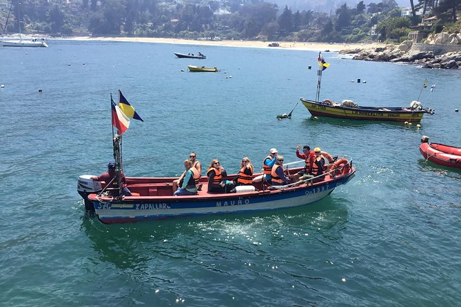 Fr VALPO: WILD PENGUINS, SEALION, SANDBOARD, PARAGLIDING & PICNIC - Sea lions, the fish market, and local coastal life