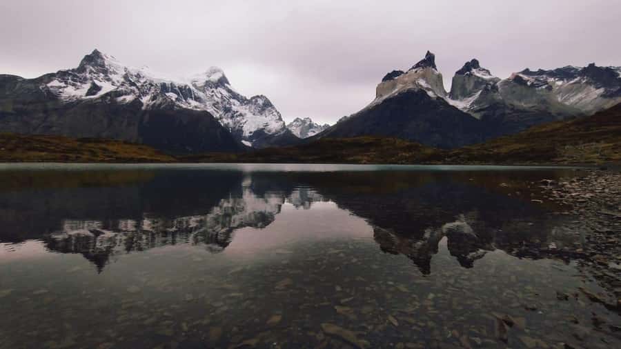 From El Calafate: Torres del Paine Full Day Tour - A Boxed Lunch, With One Important Warning