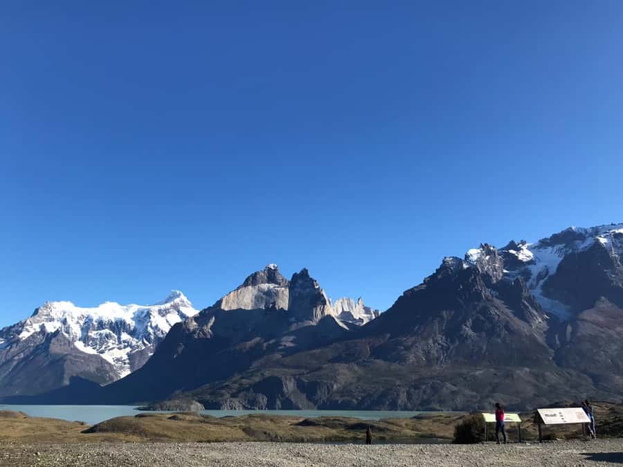 From El Calafate: Torres del Paine Full Day Tour - The Long Ride Back to El Calafate