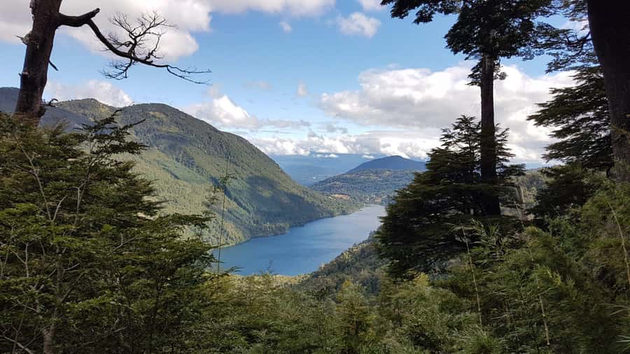 From Pucón: Huerquehue National Park Hiking Tour - Why Huerquehue makes a worthwhile day from Pucón