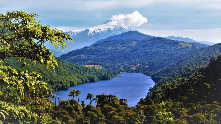 From Pucón: Huerquehue National Park Hiking Tour - The 40-minute ride from Pucón