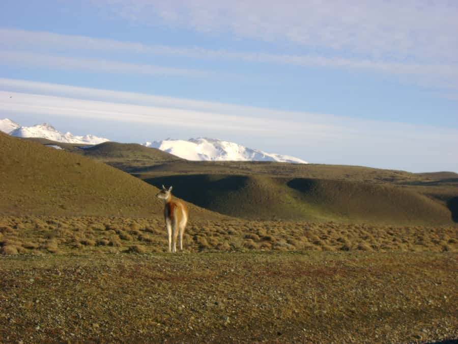From Puerto Natales: Torres del Paine National Park Trip - Is $89 a good value?