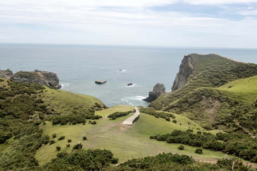 From Puerto Varas: Chiloe Island Full-day Tour - Castro and the famous palafitos of Barrio Gamboa