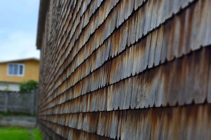 From Puerto Varas: Chiloe Island Full-day Tour - The long day inside the vehicle