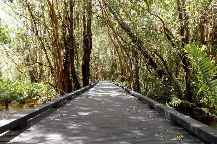 From Puerto Varas: Full Day to Termas del Sol & Cochamo Valley - Leaving Puerto Varas Along Route 225