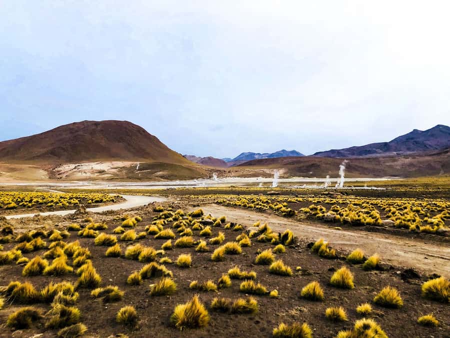 From San Pedro de Atacama: Geysers del Tatio Half-Day Tour - Machuca and its traditional homes