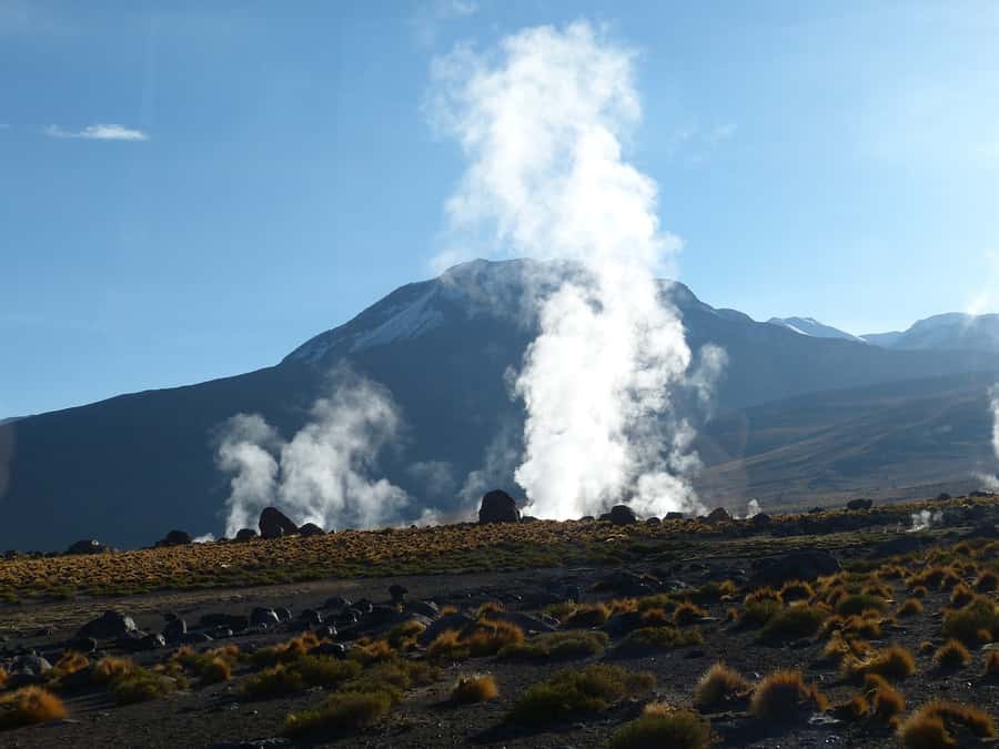 From San Pedro de Atacama: Geysers del Tatio Half-Day Tour - What the $60 price really covers