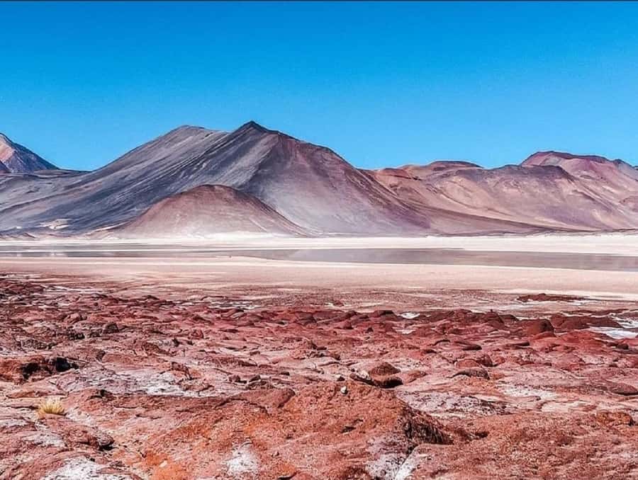 From San Pedro de Atacama: Lagoons and Piedras Reds - Key points at a glance