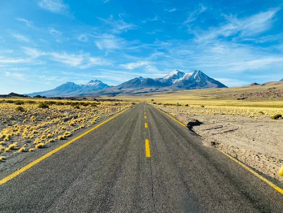 From San Pedro de Atacama: Lagoons and Piedras Reds - A full day in the Atacama high country