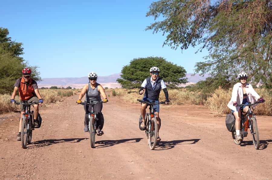 From San Pedro de Atacama: Laguna Cejar E-biking Adventure - Key points to know before you book