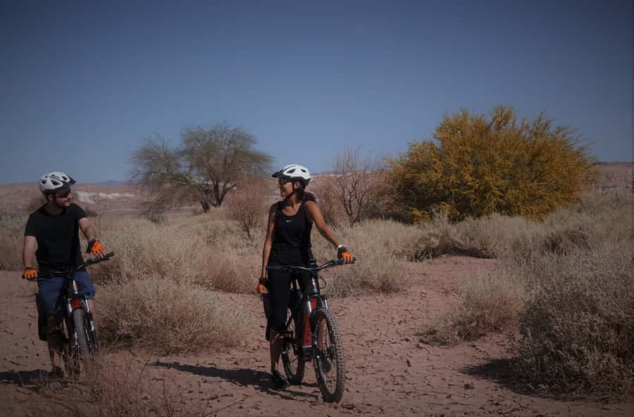 From San Pedro de Atacama: Laguna Cejar E-biking Adventure - What the feedback tells me