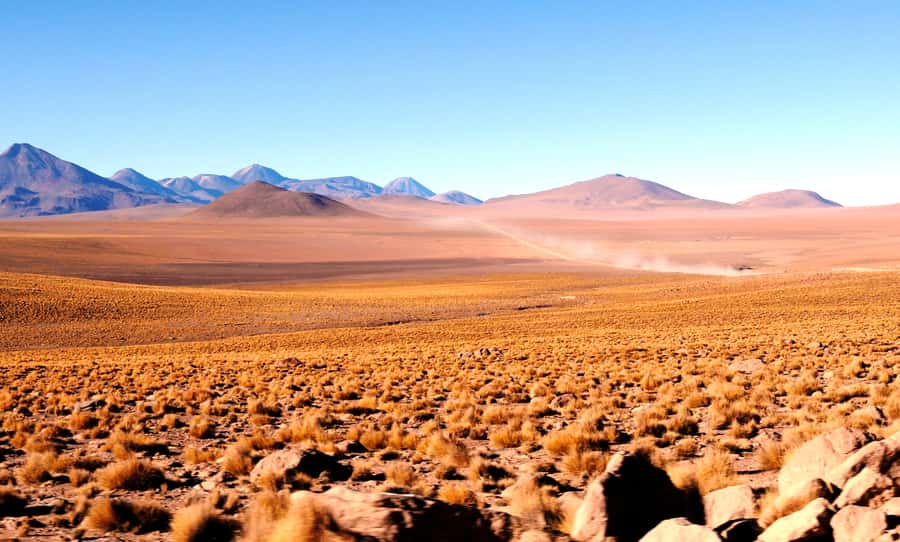 From San Pedro de Atacama: Tatio Geysers and Machuca Tour - Who should book this morning in the Andes?