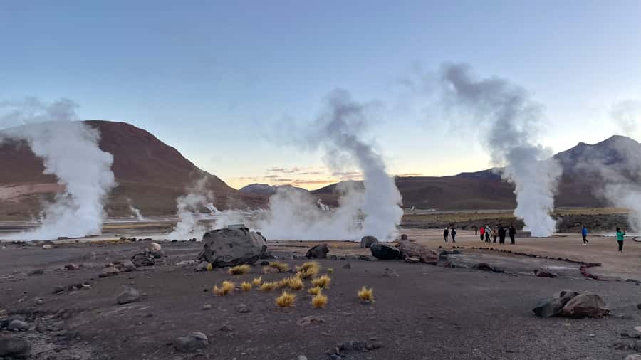 From San Pedro de Atacama: Tatio Geysers and Machuca Tour - Putana wetland and Altiplano wildlife