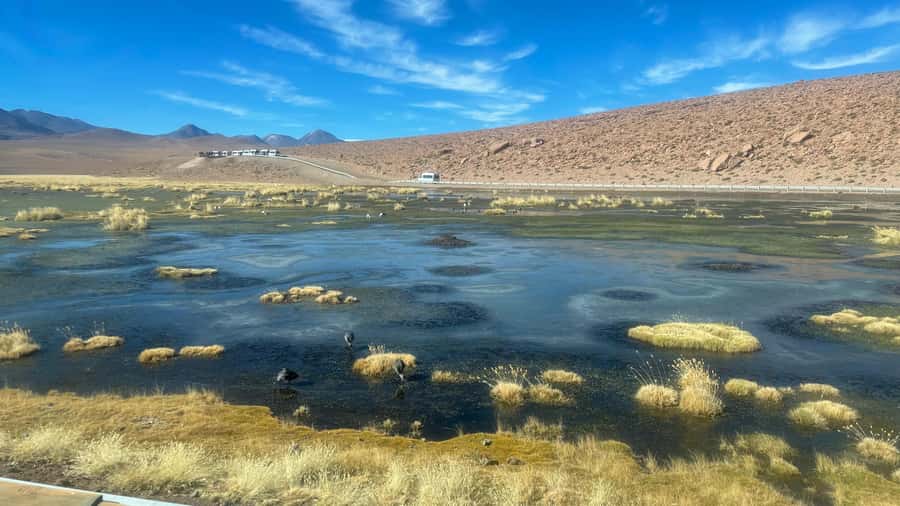 From San Pedro de Atacama: Tatio Geysers and Machuca Tour - Is $55 a fair price?
