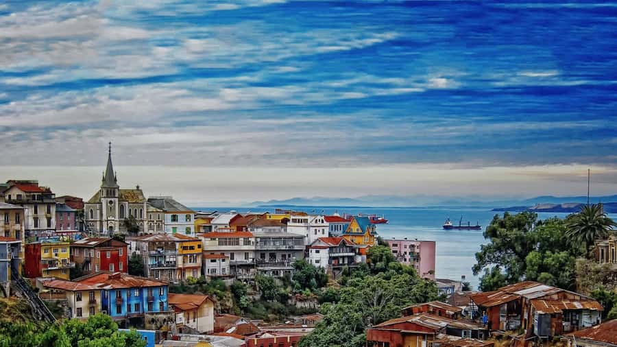 From Santiago: Highlights of Valparaiso and Viña del Mar - Caleta Portales: sea lions and a working port