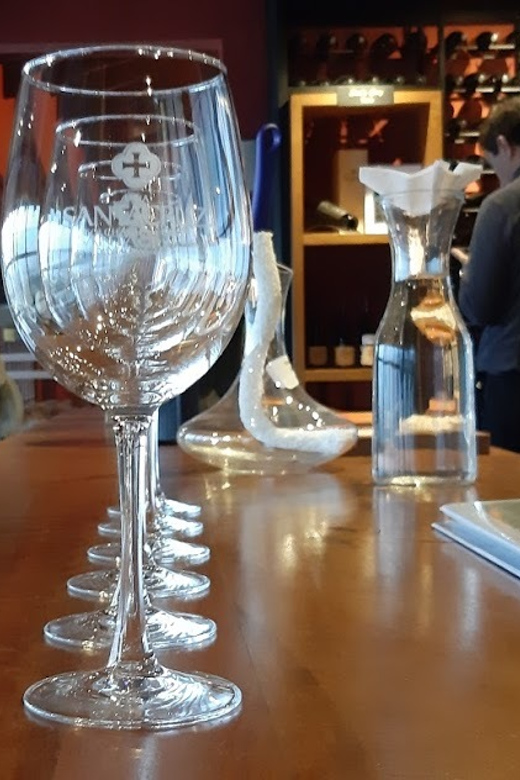 From Santiago: Isla Negra, Pablo Neruda Museum & Winery Tour - Booking details worth knowing