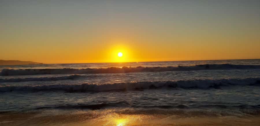 From Santiago: Isla Negra, Pablo Neruda Museum & Winery Tour - Comfort, walking, and group size