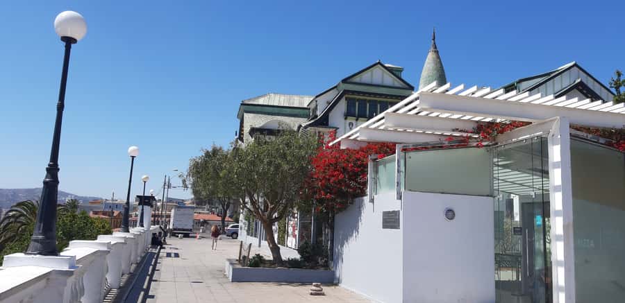 From Santiago: Isla Negra, Pablo Neruda Museum & Winery Tour - The morning drive through Chile’s farming valleys