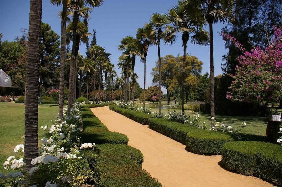 From Santiago: Maipo Valley Wine Tour - Who should book this Maipo Valley tour?