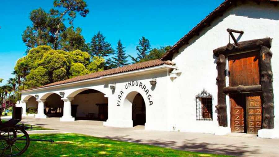 From Santiago: Undurraga Winery Tour with Tasting - From Santiago to the Santa Ana estate