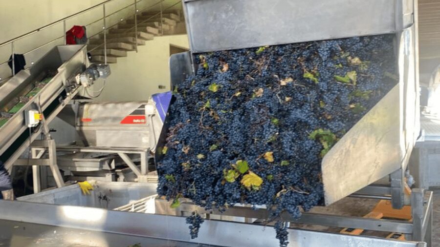 From Santiago: Undurraga Winery Tour with Tasting - Is $86 a fair price?