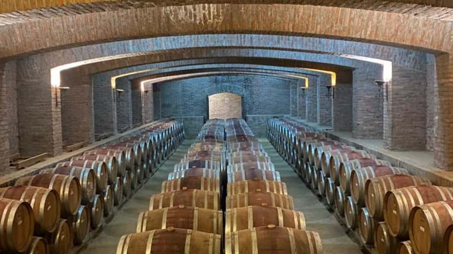 From Santiago: Undurraga Winery Tour with Tasting - Why Undurraga makes a good first winery visit