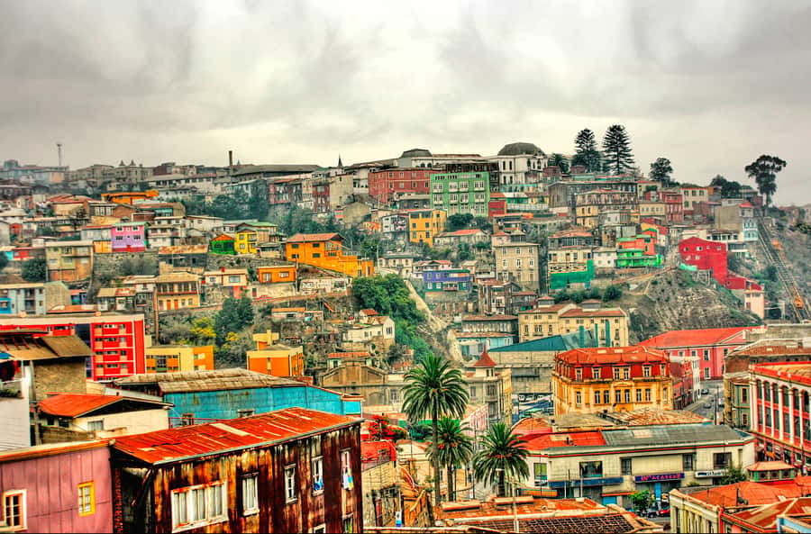 From Santiago: Valparaiso and Viña del Mar Day Tour - Key points to know before booking