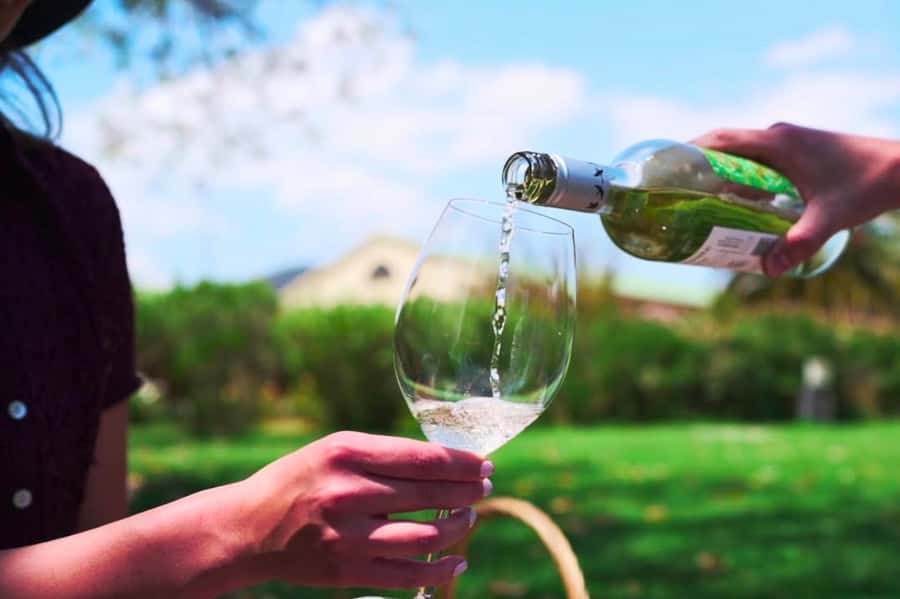 From Santiago: Vineyard, Valparaíso, and Viña del Mar Tour - Why this Santiago day trip works