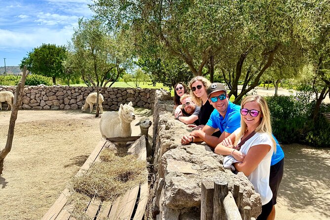 From Valparaiso:Taste 10 Types of Wine in 3 Casablanca’s Vineyard - Casas del Bosque starts with a polished winery visit